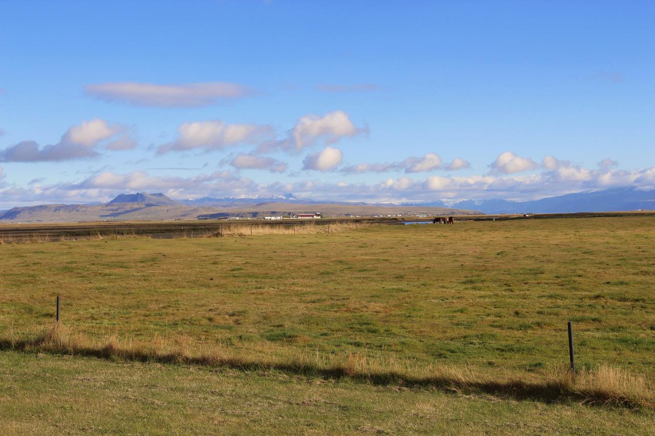 Armot Guesthouse Hvolsvöllur Exteriör bild